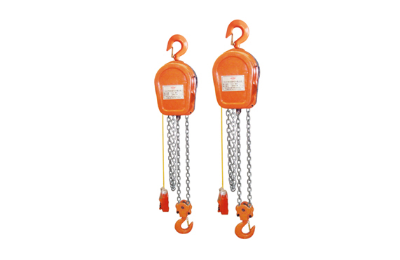 DHS Electric chain ho 